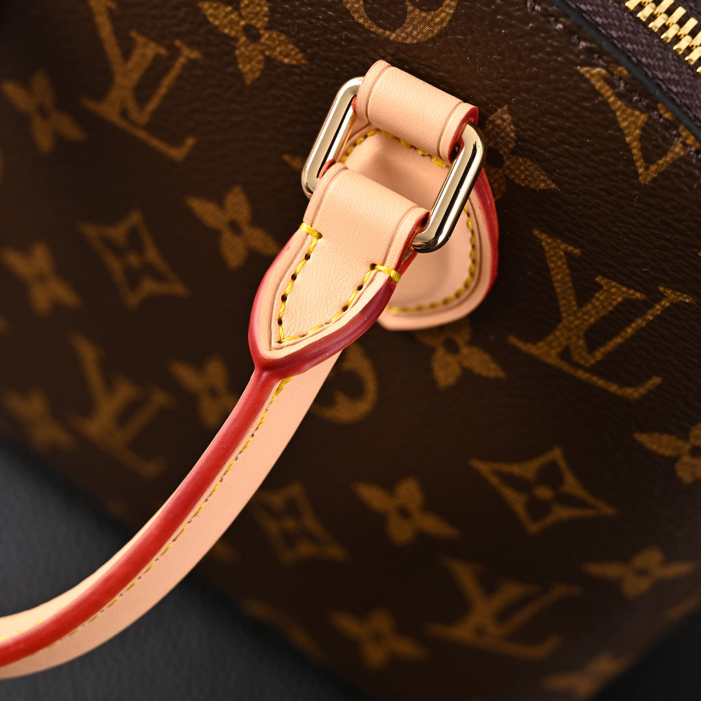 Louis Vuitton Speedy 30 Handbag – Monogram Canvas with Leather Trim