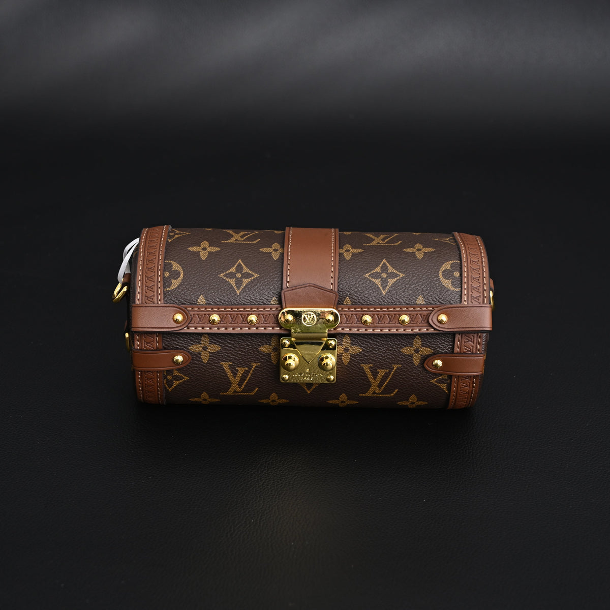 Louis Vuitton Cannes Monogram Canvas Bag