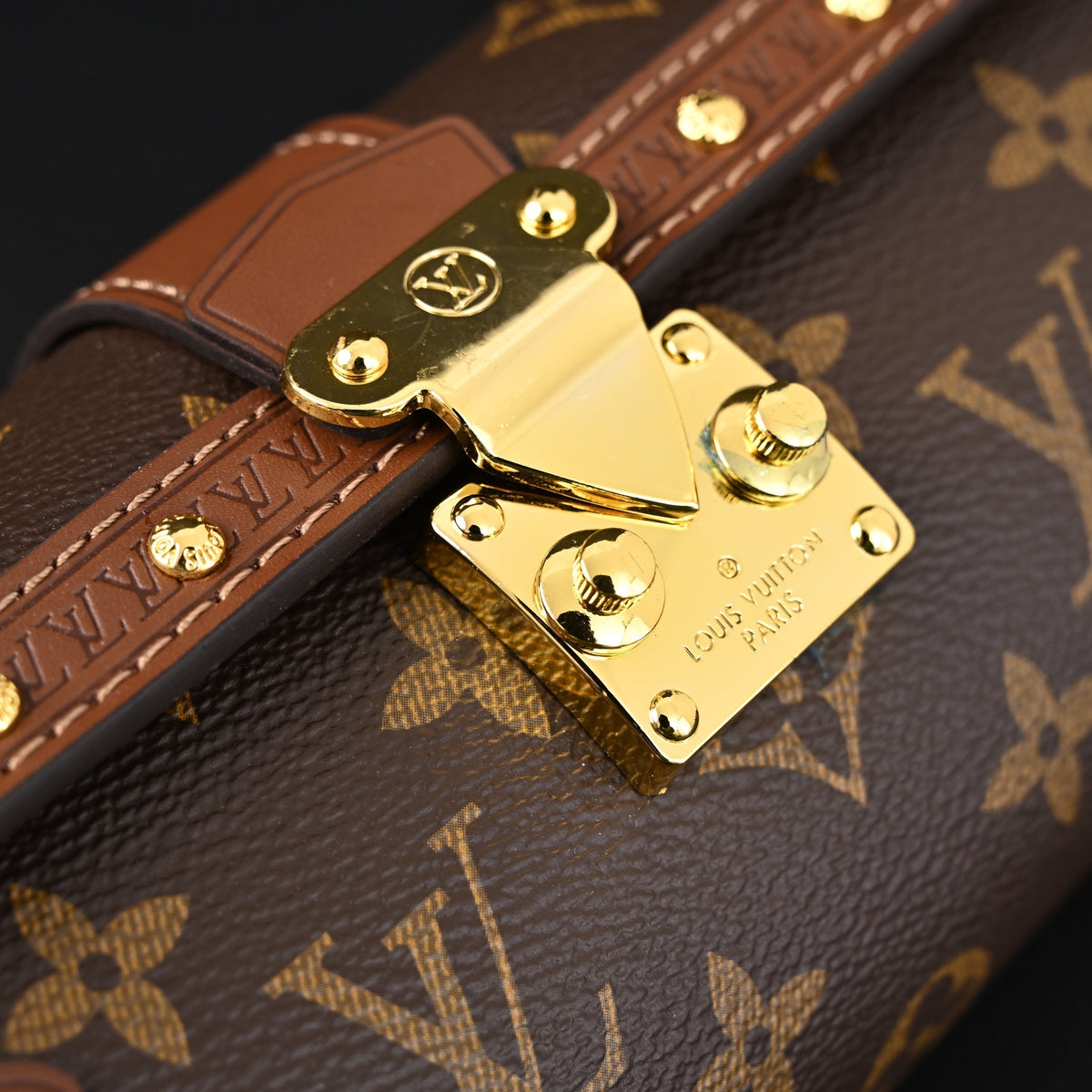 Louis Vuitton Cannes Monogram Canvas Bag