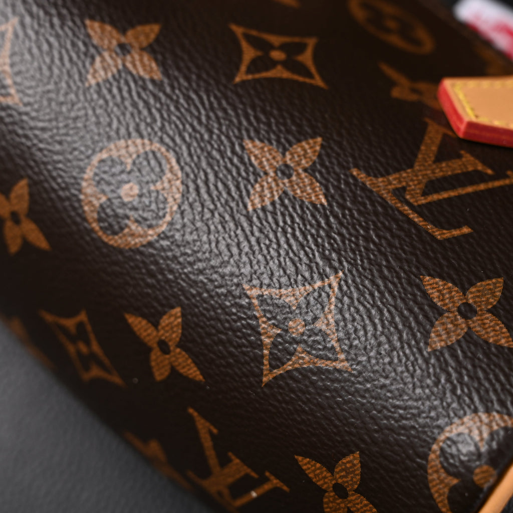 Louis Vuitton Speedy 25 Monogram Canvas Handbag