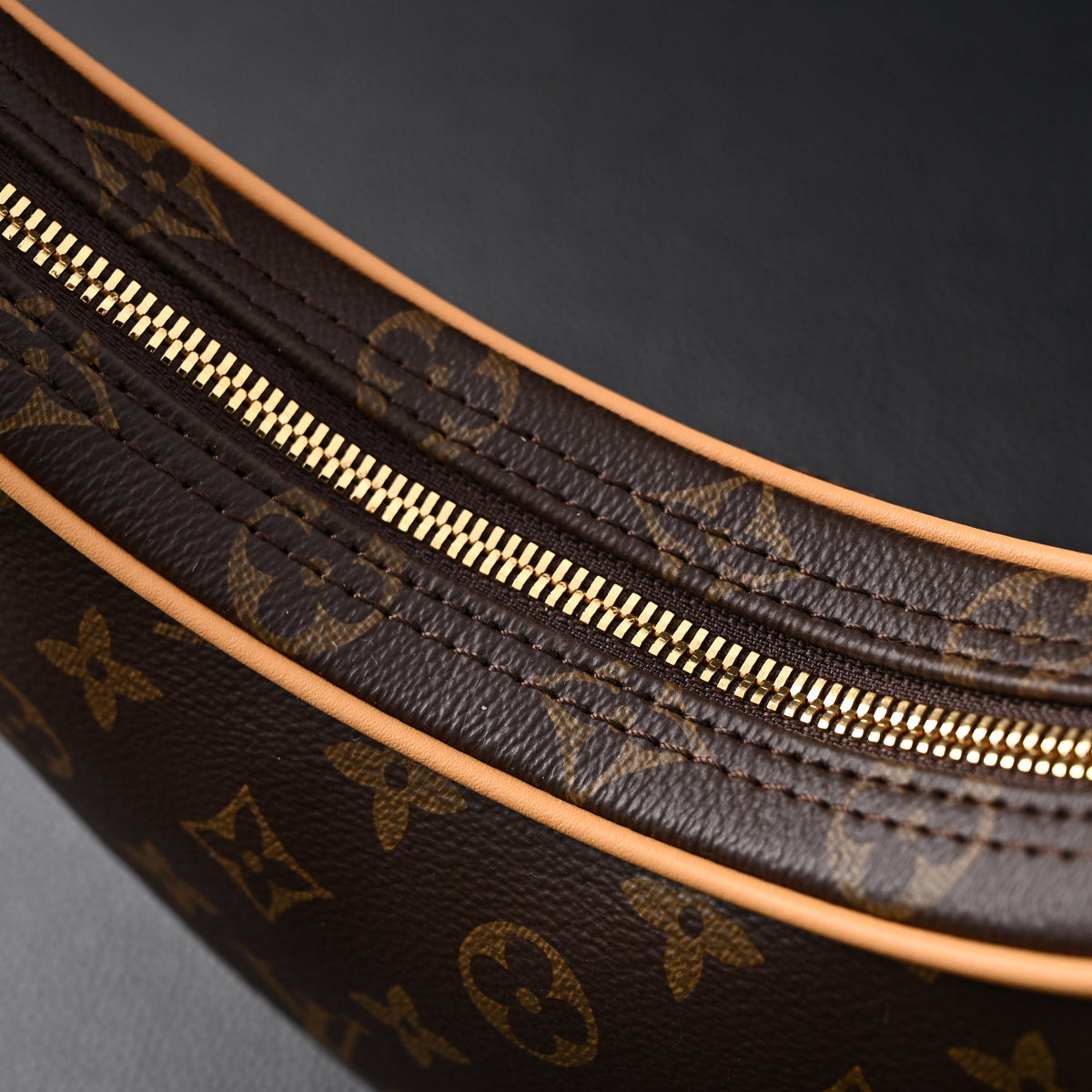 Louis Vuitton Loop Bag – Monogram Canvas with Gold Chain