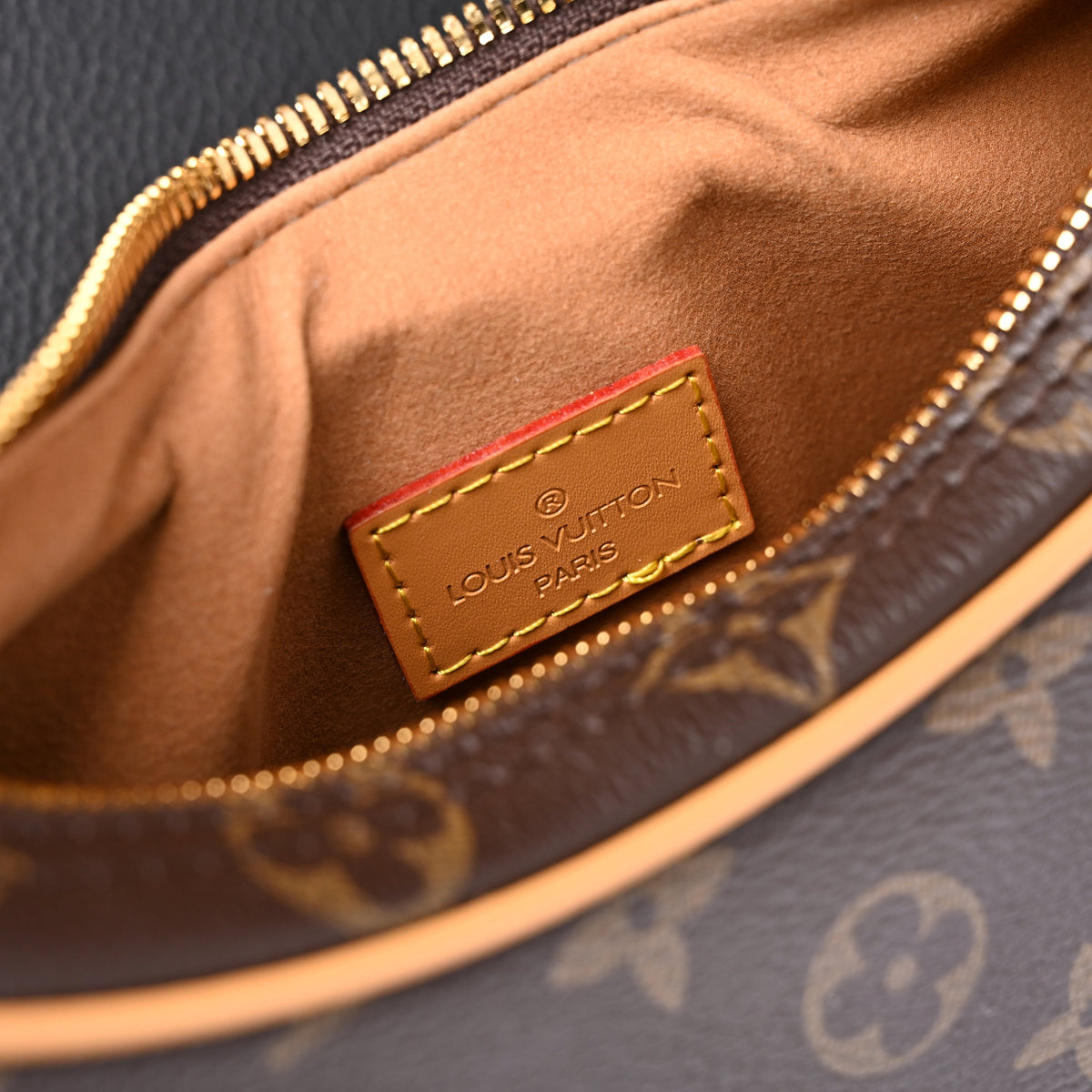 Louis Vuitton Loop Bag – Monogram Canvas with Gold Chain