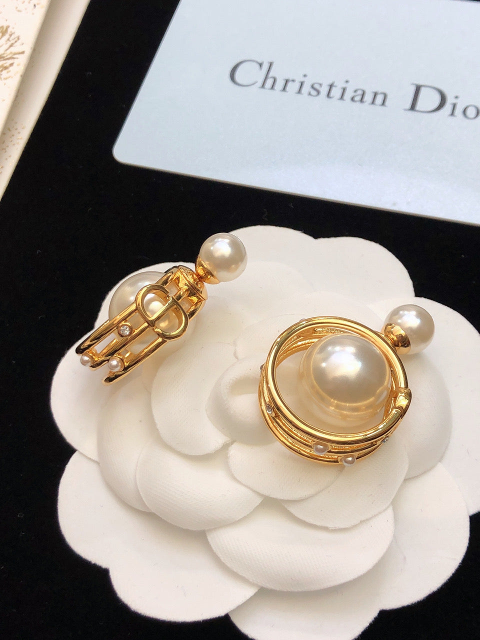Dior D-Backstage Earrings